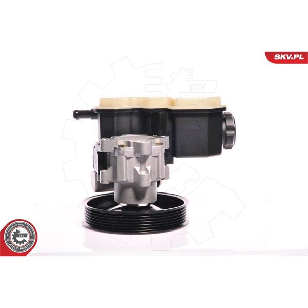 Servopump Esen skv 10SKV020 ESEN SKV