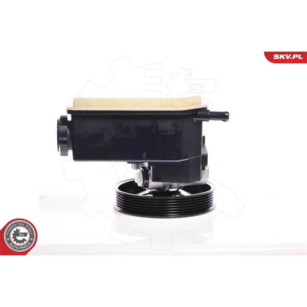 Servopump Esen skv 10SKV020 ESEN SKV Servopump Esen skv 10SKV020 ESEN SKV