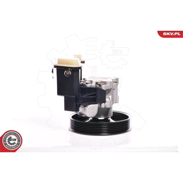 Servopump Esen skv 10SKV020 ESEN SKV Servopump Esen skv 10SKV020 ESEN SKV