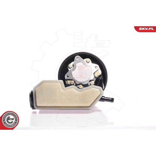 Servopump Esen skv 10SKV020 ESEN SKV Servopump Esen skv 10SKV020 ESEN SKV