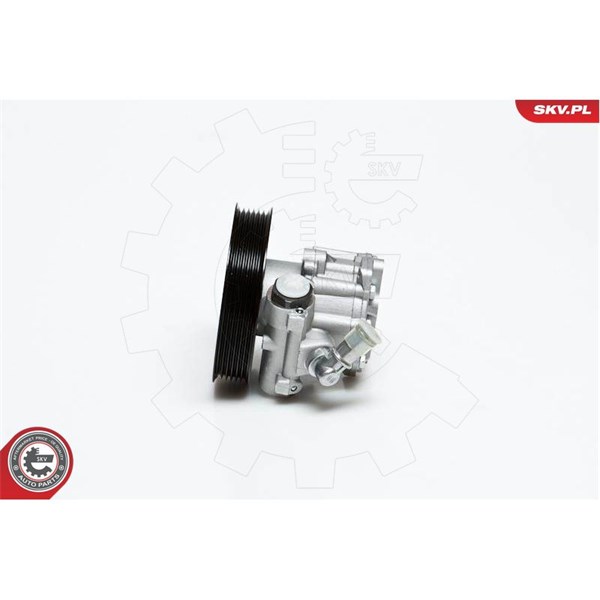 Servopump Esen skv 10SKV022 ESEN SKV