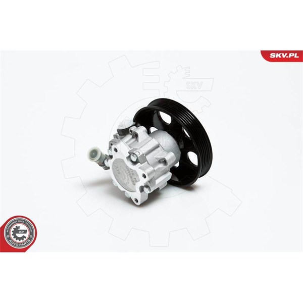 Servopump Esen skv 10SKV022 ESEN SKV Servopump Esen skv 10SKV022 ESEN SKV
