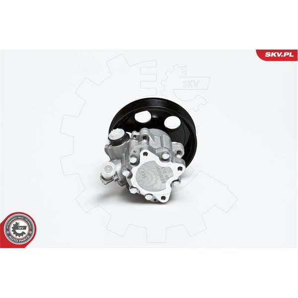 Servopump Esen skv 10SKV022 ESEN SKV