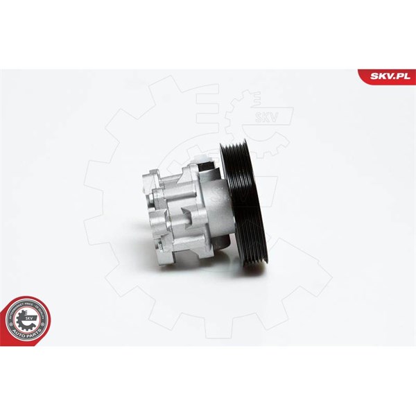 Servopump Esen skv 10SKV022 ESEN SKV Servopump Esen skv 10SKV022 ESEN SKV