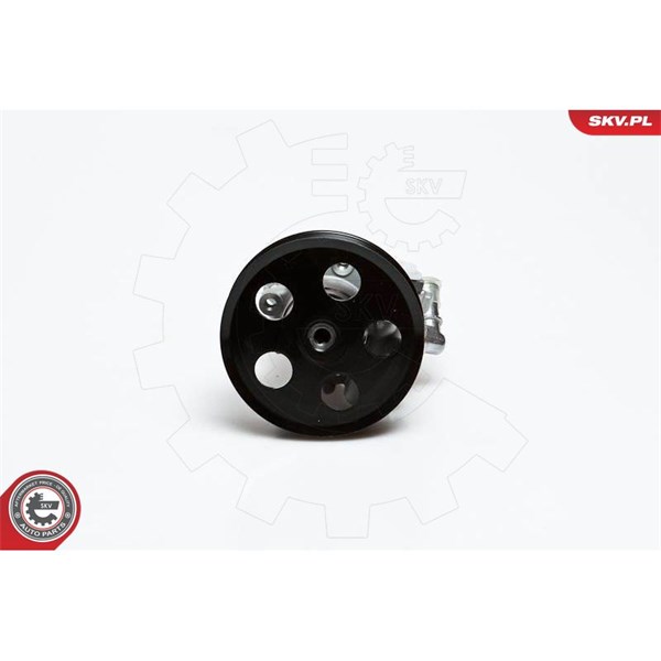Servopump Esen skv 10SKV022 ESEN SKV