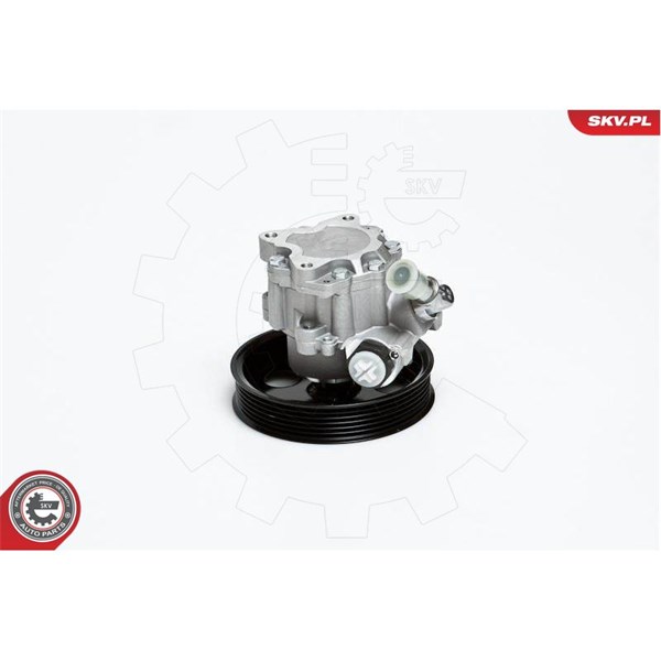 Servopump Esen skv 10SKV022 ESEN SKV Servopump Esen skv 10SKV022 ESEN SKV
