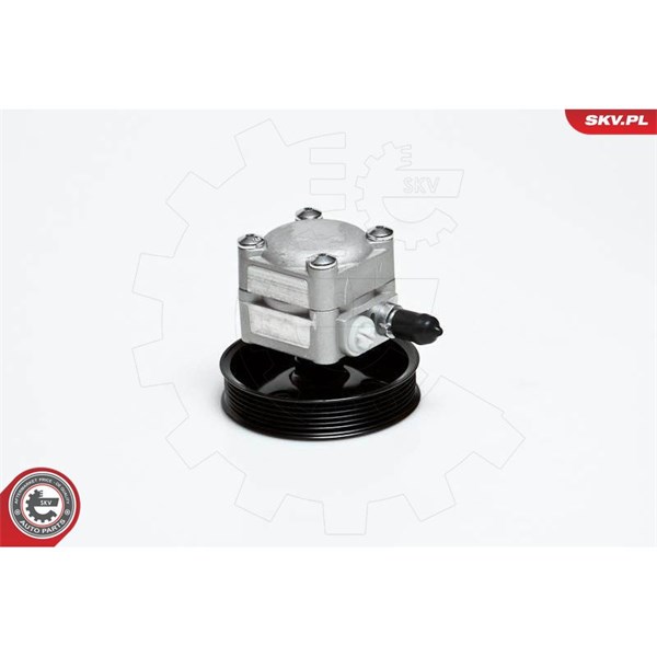 Servopump Esen skv 10SKV027 ESEN SKV