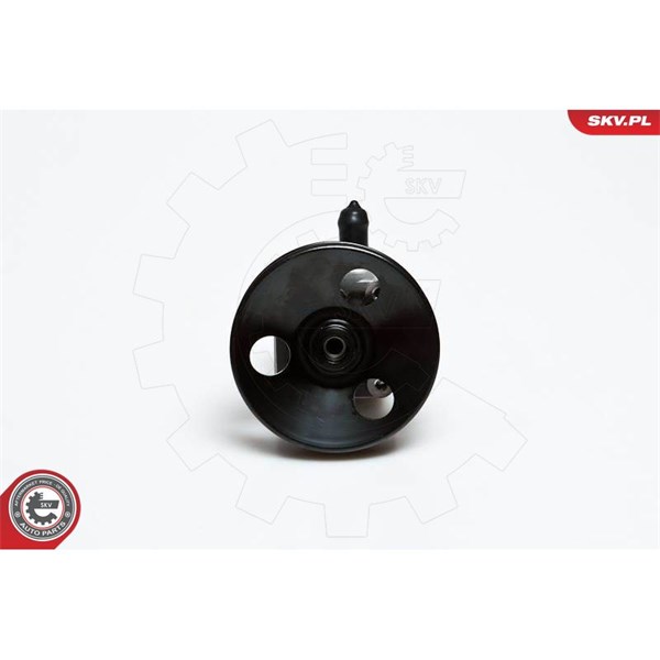 Servopump Esen skv 10SKV027 ESEN SKV
