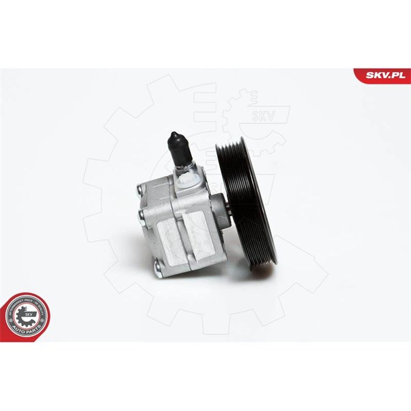 Servopump Esen skv 10SKV027 ESEN SKV