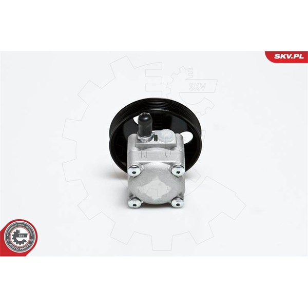Servopump Esen skv 10SKV027 ESEN SKV