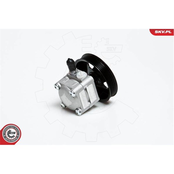Servopump Esen skv 10SKV027 ESEN SKV