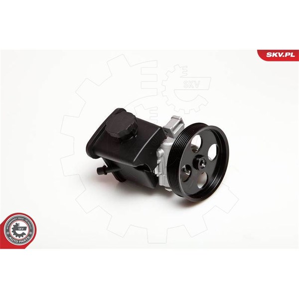 Servopump Esen skv 10SKV029 ESEN SKV