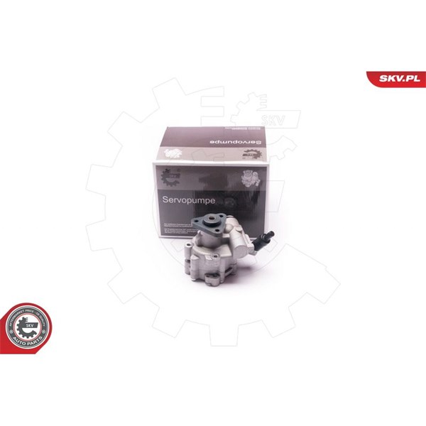 Servopump Esen skv 10SKV030 ESEN SKV Servopump Esen skv 10SKV030 ESEN SKV