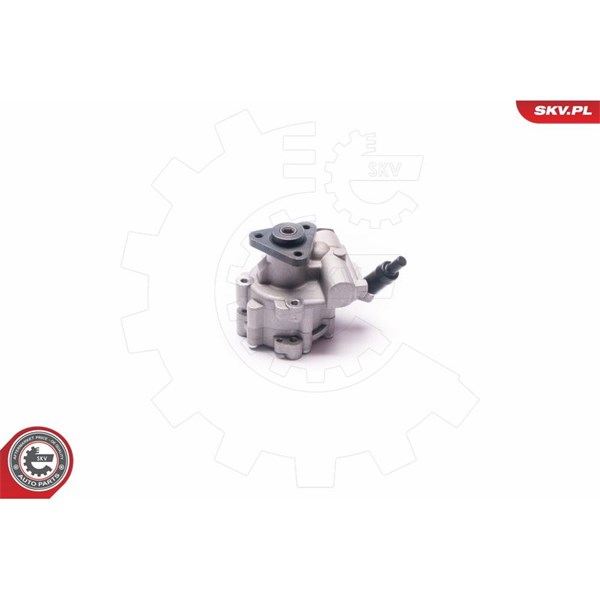 Servopump Esen skv 10SKV030 ESEN SKV Servopump Esen skv 10SKV030 ESEN SKV