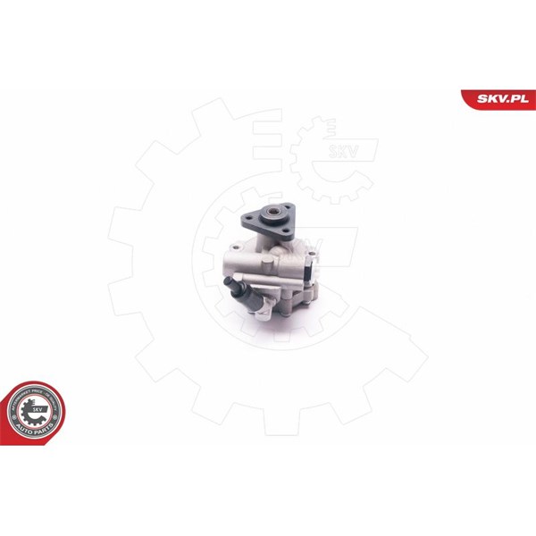 Servopump Esen skv 10SKV030 ESEN SKV Servopump Esen skv 10SKV030 ESEN SKV