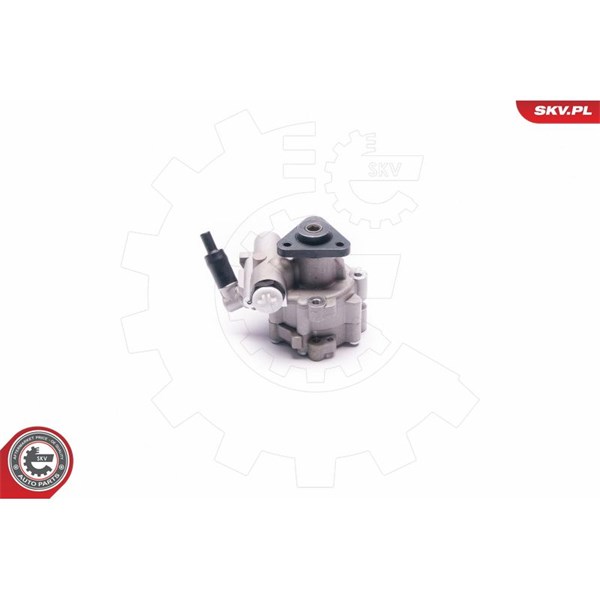 Servopump Esen skv 10SKV030 ESEN SKV Servopump Esen skv 10SKV030 ESEN SKV
