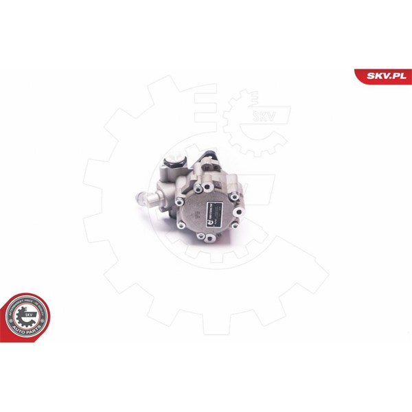 Servopump Esen skv 10SKV030 ESEN SKV Servopump Esen skv 10SKV030 ESEN SKV