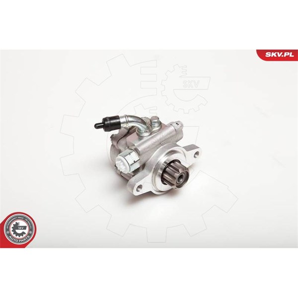 Servopump Esen skv 10SKV032 ESEN SKV
