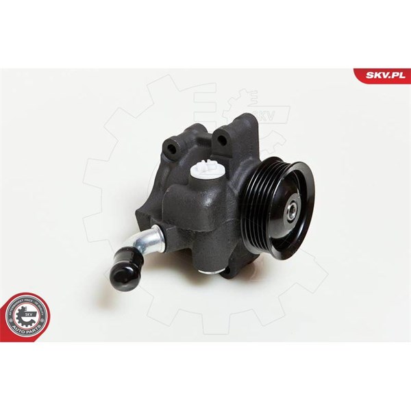 Servopump Esen skv 10SKV035 ESEN SKV