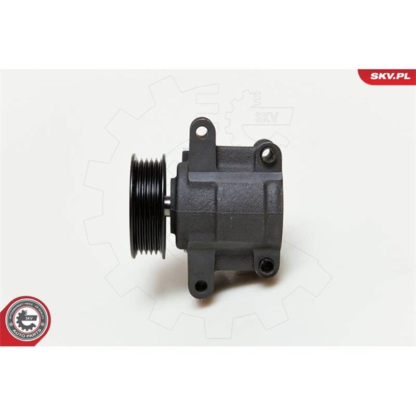 Servopump Esen skv 10SKV035 ESEN SKV