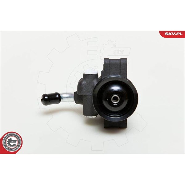 Servopump Esen skv 10SKV035 ESEN SKV