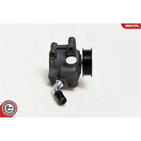Servopump Esen skv 10SKV035 ESEN SKV