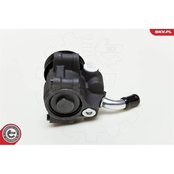Servopump Esen skv 10SKV035 ESEN SKV