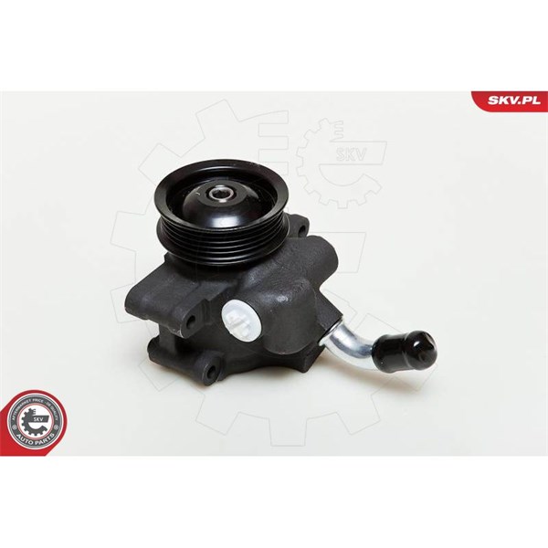 Servopump Esen skv 10SKV035 ESEN SKV