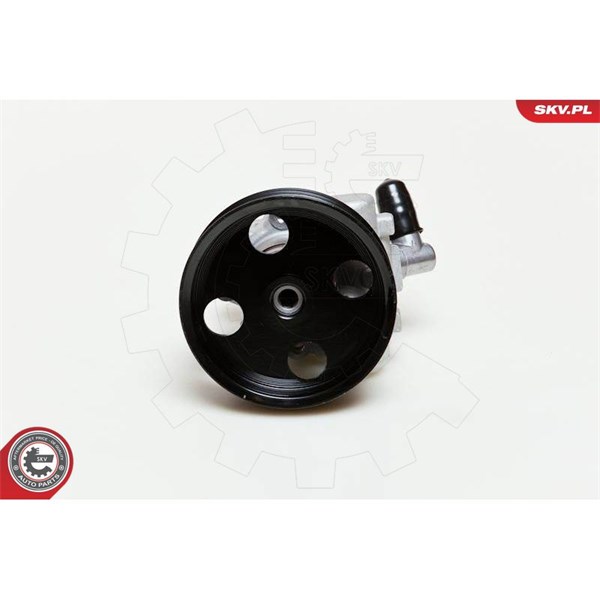 Servopump Esen skv 10SKV039 ESEN SKV