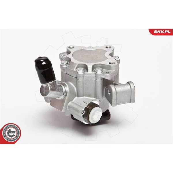 Servopump Esen skv 10SKV044 ESEN SKV