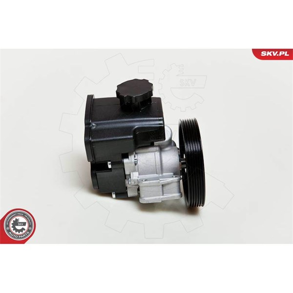 Servopump Esen skv 10SKV046 ESEN SKV