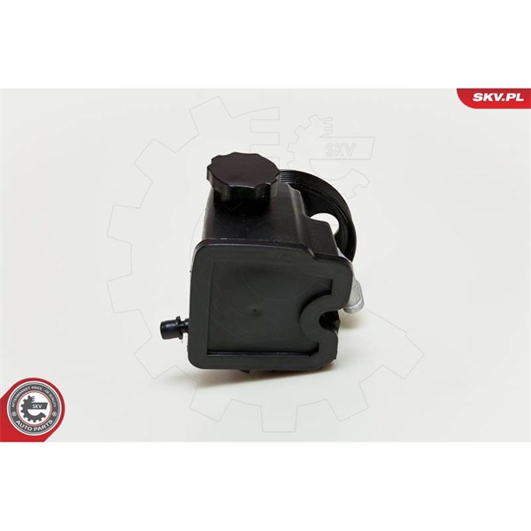 Servopump Esen skv 10SKV046 ESEN SKV
