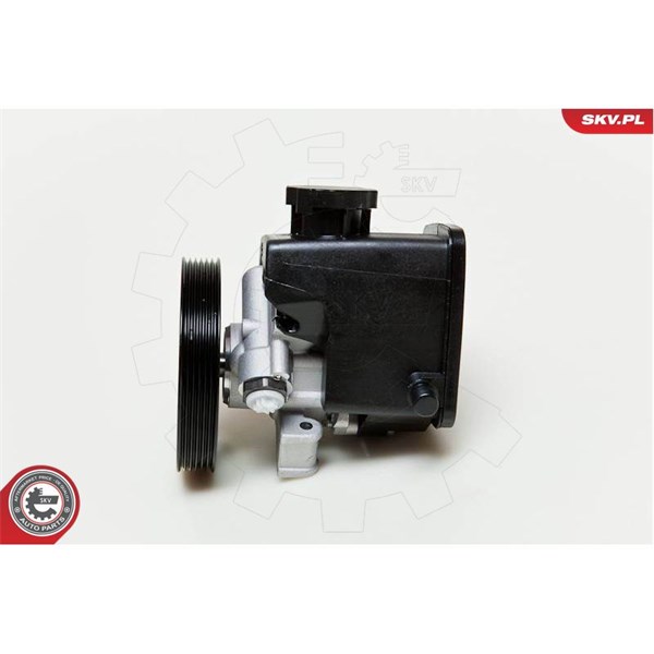 Servopump Esen skv 10SKV046 ESEN SKV