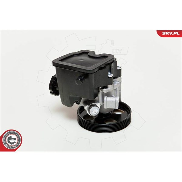 Servopump Esen skv 10SKV046 ESEN SKV