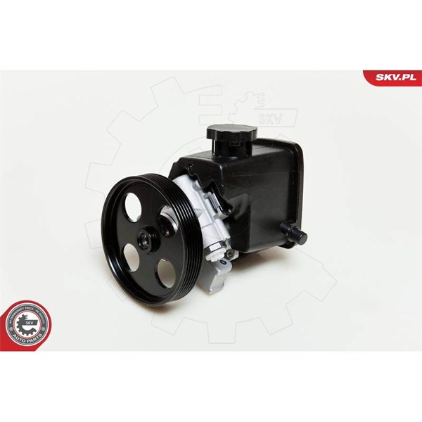 Servopump Esen skv 10SKV046 ESEN SKV