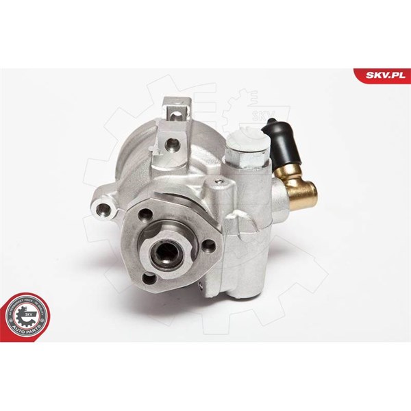 Servopump Esen skv 10SKV047 ESEN SKV