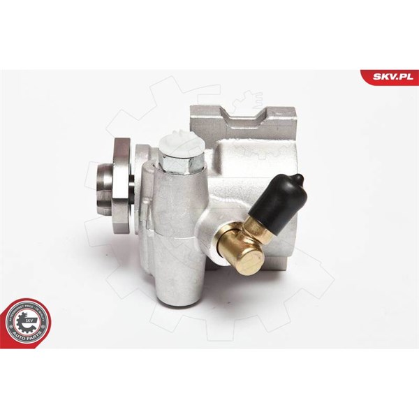 Servopump Esen skv 10SKV047 ESEN SKV