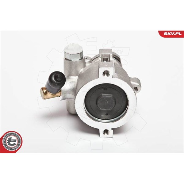 Servopump Esen skv 10SKV047 ESEN SKV