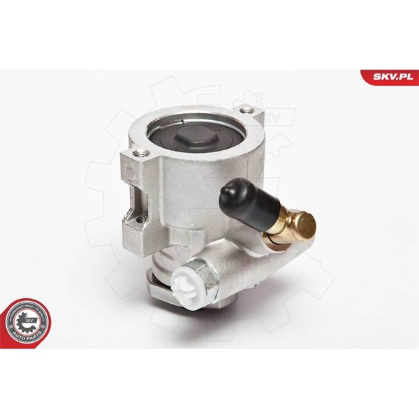 Servopump Esen skv 10SKV047 ESEN SKV