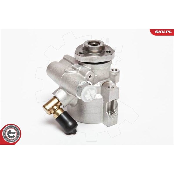 Servopump Esen skv 10SKV047 ESEN SKV