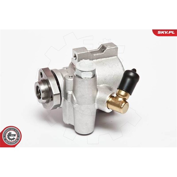 Servopump Esen skv 10SKV047 ESEN SKV