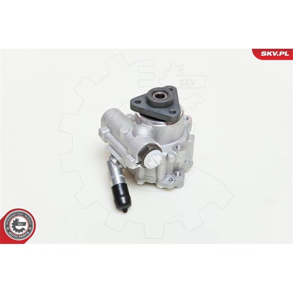 Servopump Esen skv 10SKV048 ESEN SKV