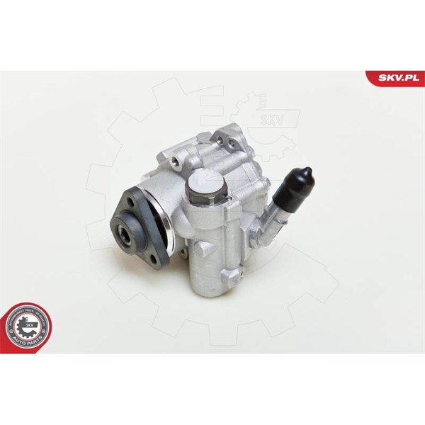 Servopump Esen skv 10SKV048 ESEN SKV