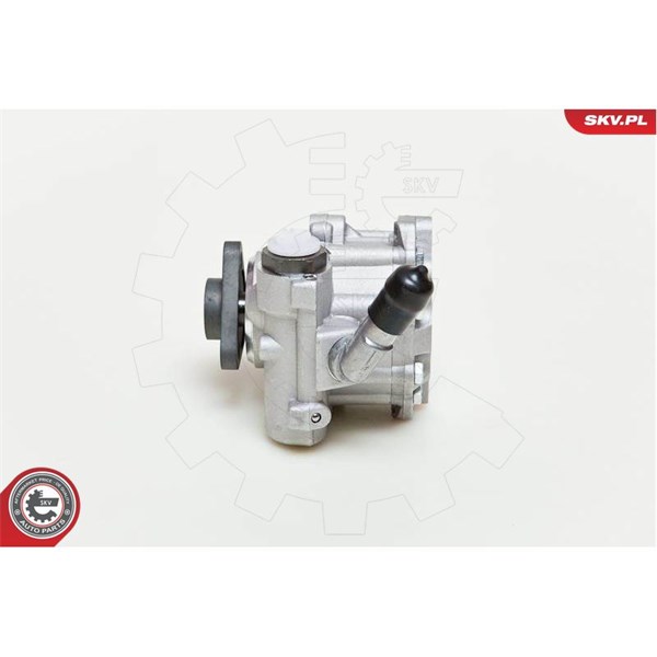 Servopump Esen skv 10SKV048 ESEN SKV