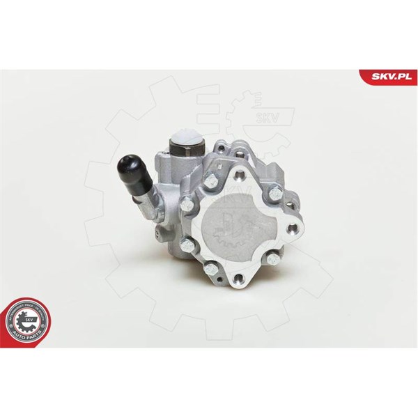 Servopump Esen skv 10SKV048 ESEN SKV