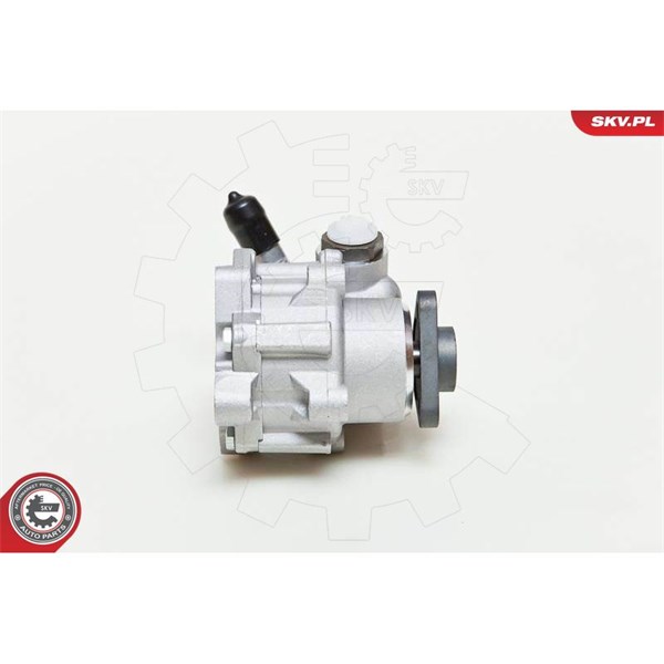 Servopump Esen skv 10SKV048 ESEN SKV