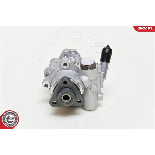 Servopump Esen skv 10SKV048 ESEN SKV