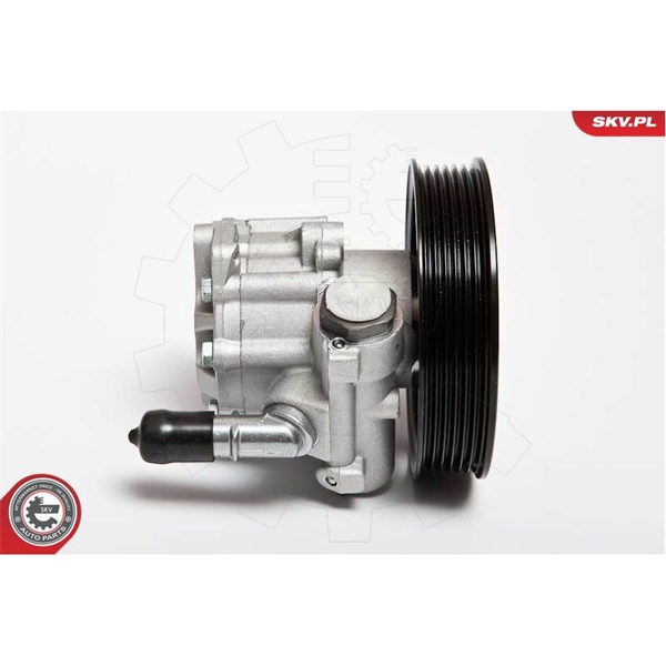 Servopump Esen skv 10SKV063 ESEN SKV Servopump Esen skv 10SKV063 ESEN SKV