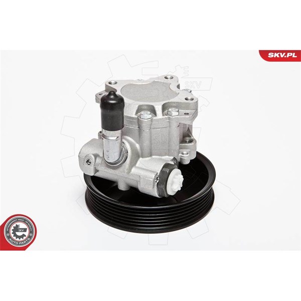 Servopump Esen skv 10SKV063 ESEN SKV Servopump Esen skv 10SKV063 ESEN SKV