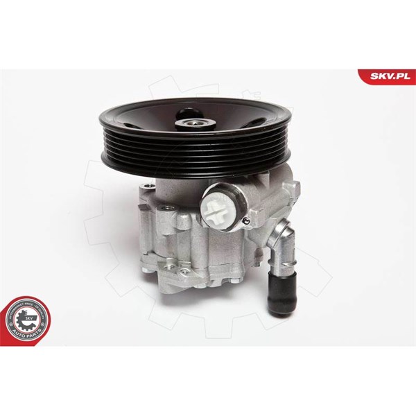 Servopump Esen skv 10SKV063 ESEN SKV